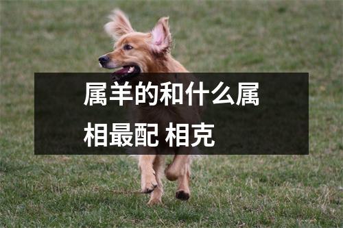 属羊的和什么属相配相克