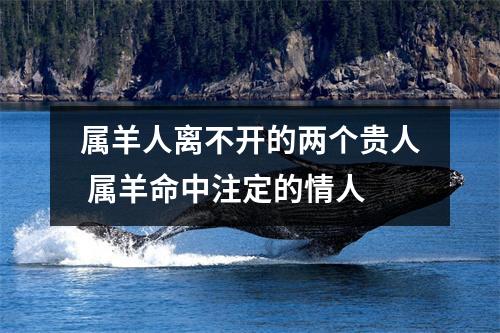 属羊人离不开的两个贵人属羊命中注定的情人