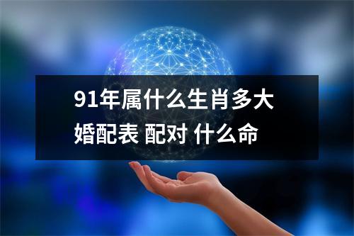 91年属什么生肖多大婚配表配对什么命
