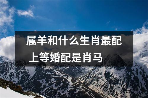 属羊和什么生肖配上等婚配是肖马