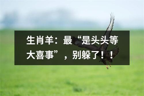 生肖羊：“是头头等大喜事”，别躲了！！