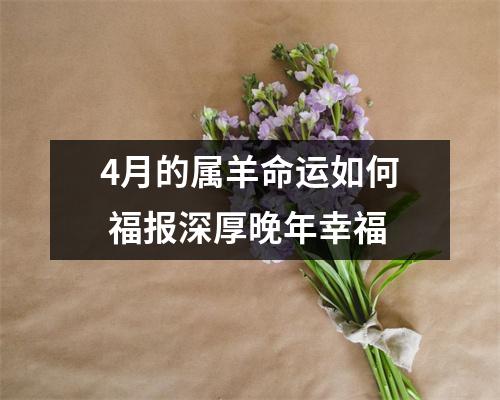 4月的属羊命运如何福报深厚晚年幸福