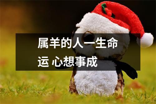 属羊的人一生命运心想事成