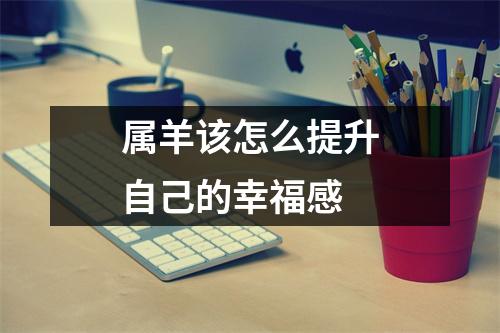 属羊该怎么提升自己的幸福感