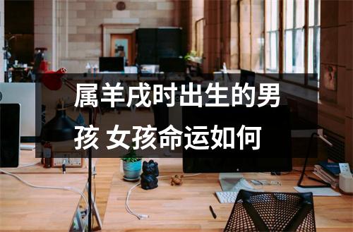 属羊戌时出生的男孩女孩命运如何