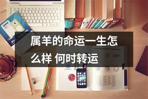 属羊的命运一生怎么样何时转运