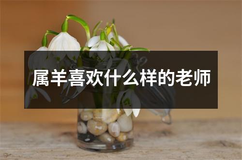 属羊喜欢什么样的老师