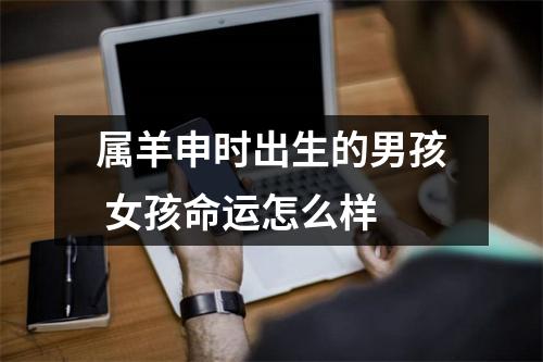 属羊申时出生的男孩女孩命运怎么样