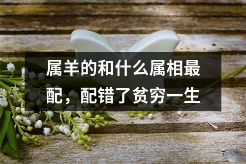 属羊的和什么属相配，配错了贫穷一生