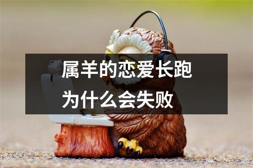 属羊的恋爱长跑为什么会失败