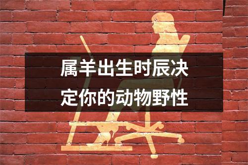属羊出生时辰决定你的动物野性