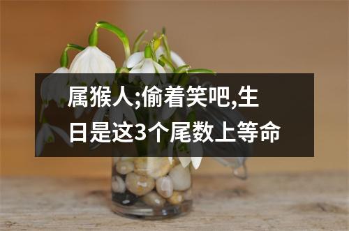 属猴人;偷着笑吧,生日是这3个尾数上等命