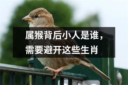 属猴背后小人是谁，需要避开这些生肖