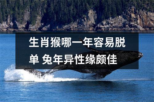 生肖猴哪一年容易脱单兔年异性缘颇佳