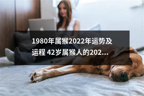 1980年属猴2025年运势及运程42岁属猴人的2025年每月运势详解