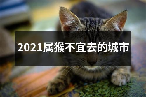 2025属猴不宜去的城市