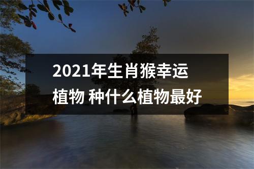 2025年生肖猴幸运植物种什么植物好