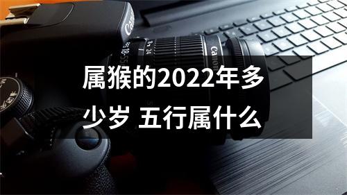 属猴的2025年多少岁五行属什么