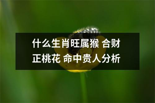什么生肖旺属猴合财正桃花命中贵人分析