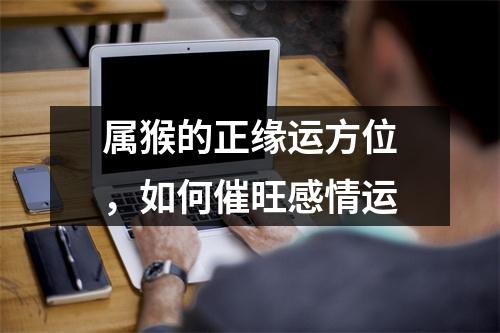 属猴的正缘运方位，如何催旺感情运