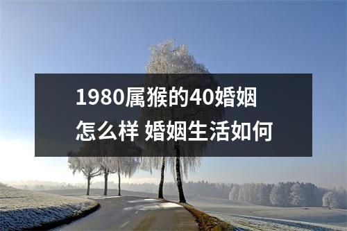 1980属猴的40婚姻怎么样婚姻生活如何