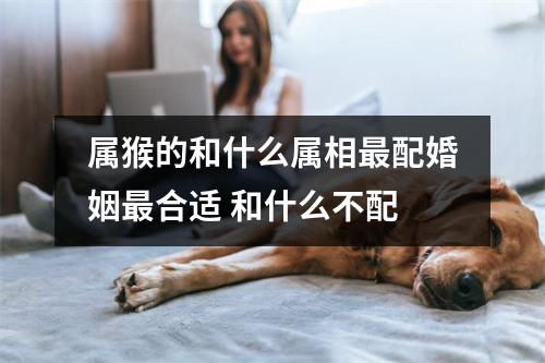 属猴的和什么属相配婚姻合适和什么不配
