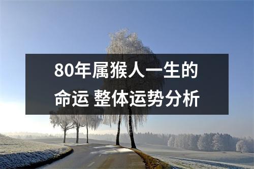 80年属猴人一生的命运整体运势分析