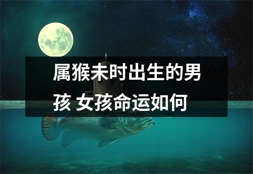 属猴未时出生的男孩女孩命运如何