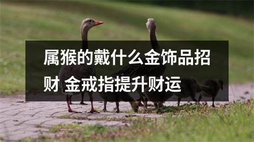 属猴的戴什么金饰品招财金戒指提升财运