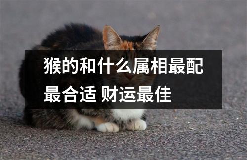 猴的和什么属相配合适财运佳