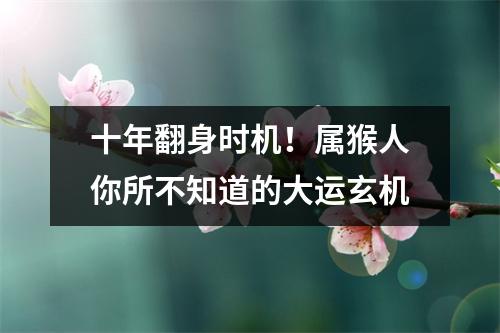 十年翻身时机！属猴人你所不知道的大运玄机