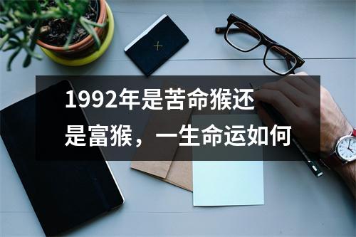1992年是苦命猴还是富猴，一生命运如何