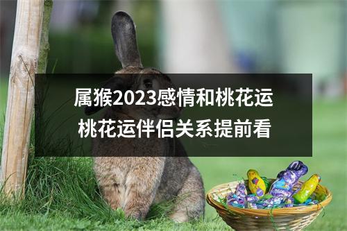 属猴2025感情和桃花运桃花运伴侣关系提前看