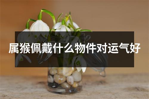 属猴佩戴什么物件对运气好