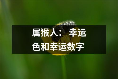 属猴人：幸运色和幸运数字