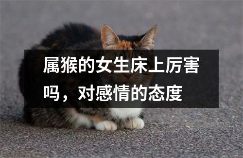 属猴的女生床上厉害吗，对感情的态度