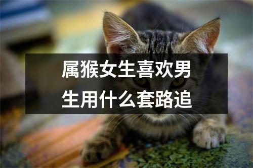 属猴女生喜欢男生用什么套路追