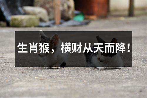 生肖猴，横财从天而降！