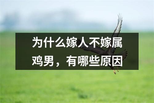 为什么嫁人不嫁属鸡男，有哪些原因
