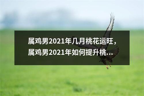 属鸡男2025年几月桃花运旺，属鸡男2025年如何提升桃花运