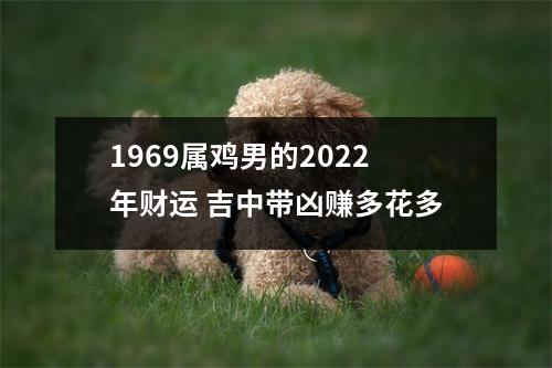 1969属鸡男的2025年财运吉中带凶赚多花多