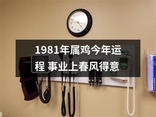 1981年属鸡今年运程事业上春风得意