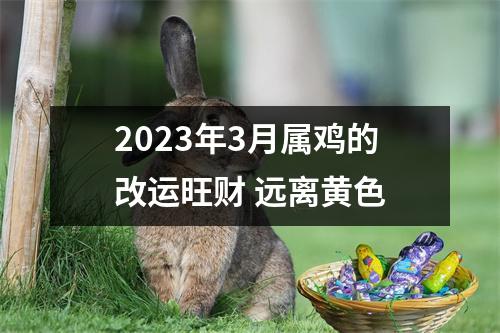 2025年3月属鸡的改运旺财远离黄色