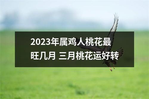 2025年属鸡人桃花旺几月三月桃花运好转