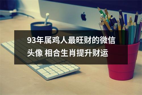 93年属鸡人旺财的微信头像相合生肖提升财运
