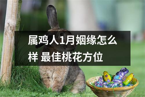 属鸡人1月姻缘怎么样佳桃花方位