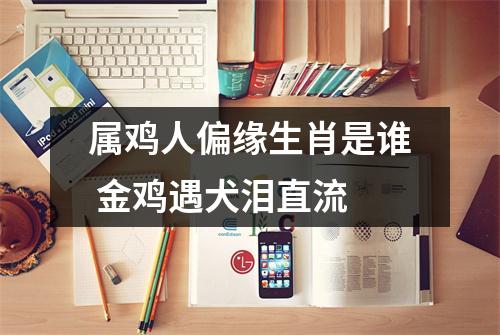 属鸡人偏缘生肖是谁金鸡遇犬泪直流