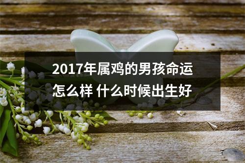 2017年属鸡的男孩命运怎么样什么时候出生好