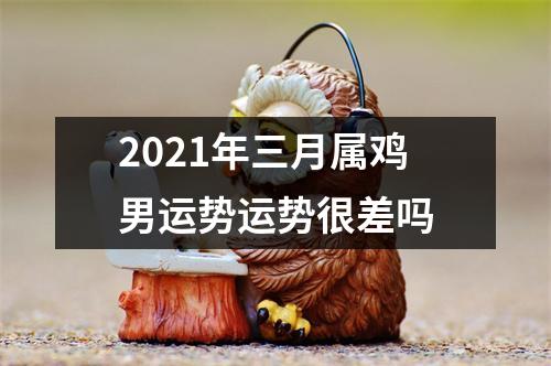 2025年三月属鸡男运势运势很差吗