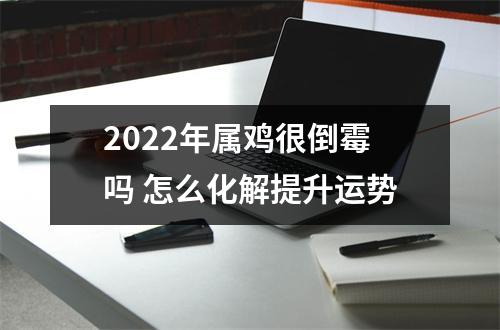 2025年属鸡很倒霉吗怎么化解提升运势